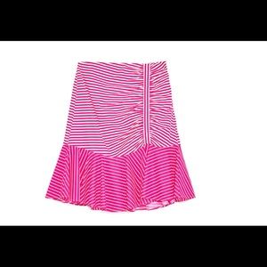 Zara Skirt Size S